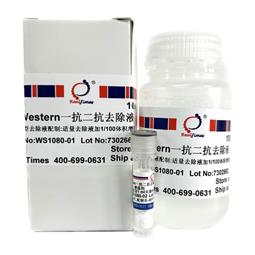 Western一抗二抗去除液（中性，劇烈型）