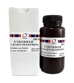 考馬斯亮藍蛋白染色液 常規法