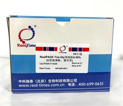 15%RealPAGE Tris-Glycine預(yù)制膠（塑料板） 15孔