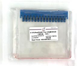 4-15%RealPAGE Tris-Glycine預制膠（塑料板）15孔