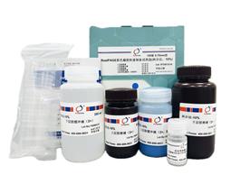 RealPAGE 彩色PAGE凝膠快速制備試劑盒（一步法）10%