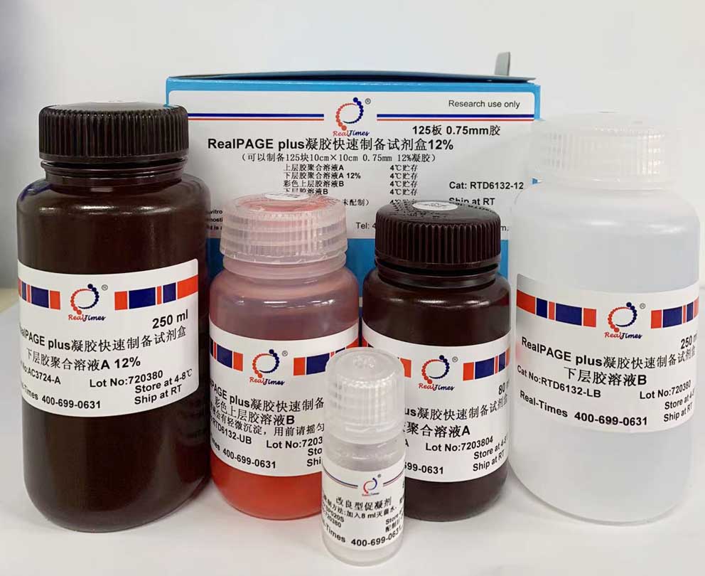 RealPAGE plus彩色凝膠快速制備試劑盒 6%